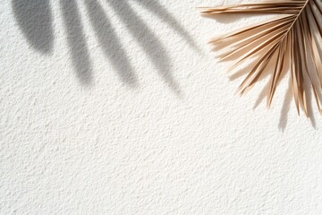 Palm leaf casting shadow on white sand background for summer concept