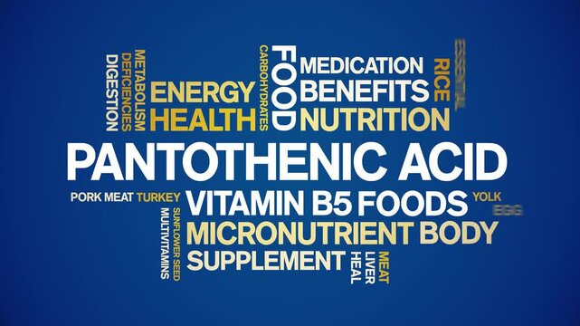 Pantothenic Acid Vitamin B5 animated word cloud;text design animation tag kinetic typography seamless loop.
