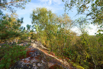 Denecourt blue trail 6 in the Apremont Gorges. Fontainebleau forest	