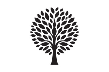 Naklejka premium tree isolated on white 