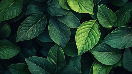 Fototapeta premium Vibrant Green Leaves with Varied Textures and Shades