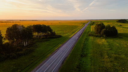 Fototapeta premium Trucks are driving along the highway at a beautiful dawn