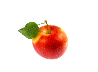 fresh picked single red gala apple isolated on white background