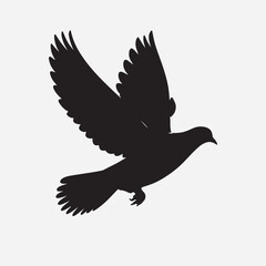Dove silhouette isolated image