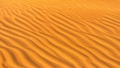 Sand ripples in the desert