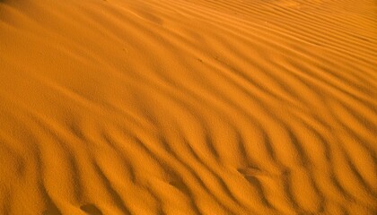 Sand ripples in the desert