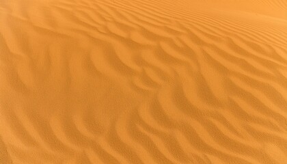 Sand ripples in the desert