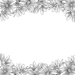 Hand drawn composition of Jerusalem artichoke flower. Jerusalem artichoke flower border for card design.