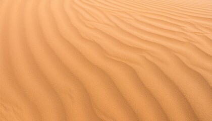 Sand ripples in the desert