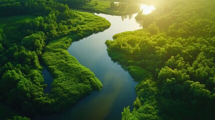 Fototapeta premium Serene Aerial View of Lush Green River Landscape