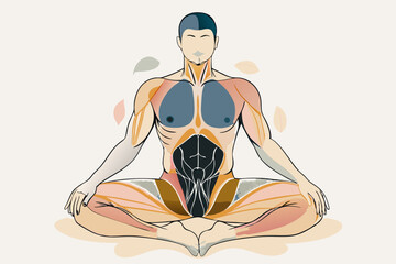 Meditating Man Illustration with Visible Anatomy for Holistic Health Concept