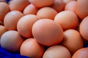 Eggs for sale at market.
