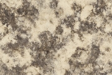 Obraz premium Abstract Stone Texture: Natural Background for Design