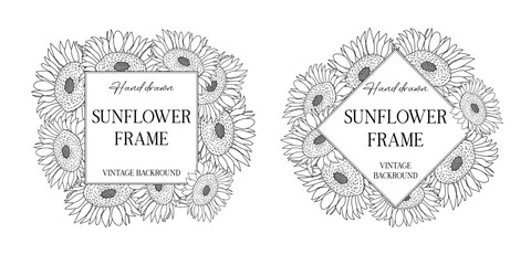 Hand drawn botanical frame with sunflowers. Vector illustration in sketch style isolated on white. Realistic sunflower design element. Space for text 