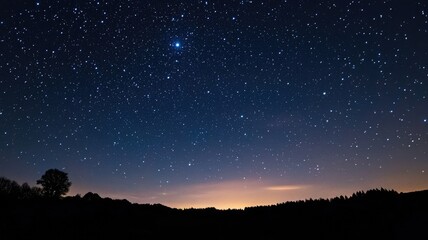 Fototapeta premium Starry night sky with trees silhouetted against horizon