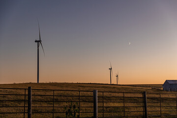 A wind turbine stands tall in a pasture at sunset.