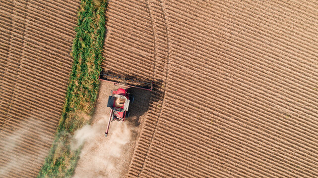 Combine harvester working along the edge of a field