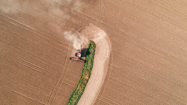 combine harvesting beans around edge of field
