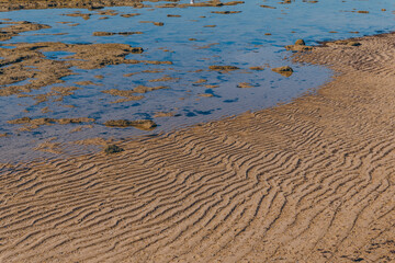 Discovery of the tourist city of Cadiz, its historical monuments and beaches in Spain