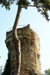 Poissy - Île de Migneaux - Tour Donjon