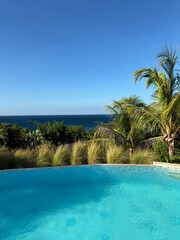 Just a pool with a view