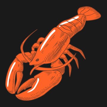 recommend clip art: red boiled crayfish vector illustration