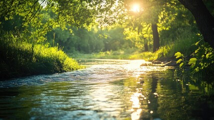 Obraz premium Sunlit forest stream with lush greenery, tranquil waters, and vibrant foliage