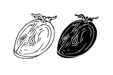Set of linear sketches, silhouettes, stamps of persimmon fruits. Vector graphics.