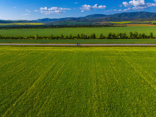 Naklejka premium default