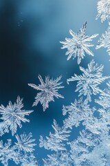 Intricate snowflakes captured delicately against a soft blue background during winter's chill. With copy space for text.