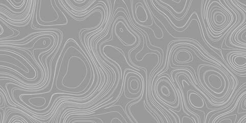 Map line of topography vector contour topographic grey map background, abstract topographic map concept with seamless ornament design space your topography and geography map grid abstract backdrop.