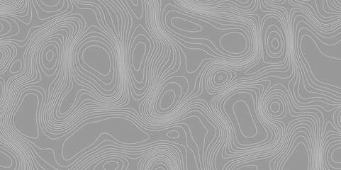 Map line of topography vector contour topographic grey map background, abstract topographic map concept with seamless ornament design space your topography and geography map grid abstract backdrop.
