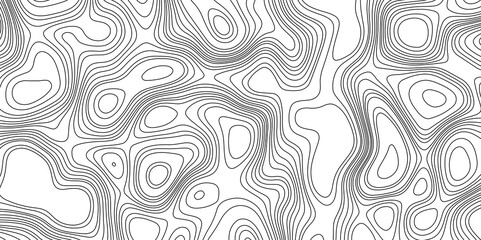 Modern topography futuristic design black and white topography topology vector white background, digital topography glowing lines geographic mountain relief abstract lines contour maps background.