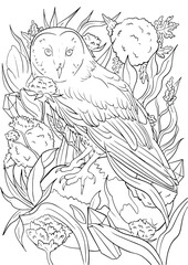 Detailed black-and-white illustration of an owl surrounded by flowers and crystals. Natural elements, exotic flowers and geometric crystal. coloring pages or decorative use