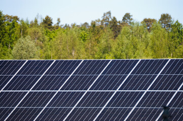 solar panels close-up, green forest in the background