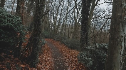 Fototapeta premium A peaceful and picturesque forest path winding through a serene autumn landscape carpeted with a colorful array of vibrant fallen leaves in hues of orange red and brown