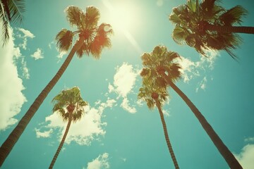 Obraz premium Los Angeles Palm Trees: Vintage View of Sunny Sky on Avenue in California