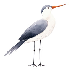 Obraz premium PNG Stork protects girl animal drawing cartoon. AI generated Image by rawpixel.