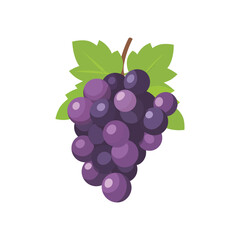 Grapes Vector Illustration for Vineyard, Wine, and Agriculture