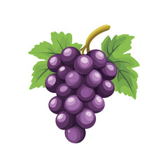 Bunch of Grapes Vector Design for Agricultural and Botanical Use