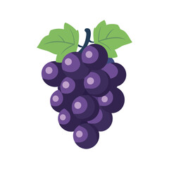 Tropical Grapes Vector Art for Wine and Vineyard Graphics