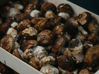 Ceps mushrooms on market