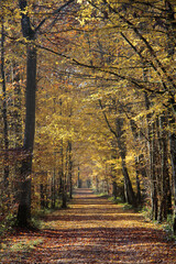 L automne est arrivé