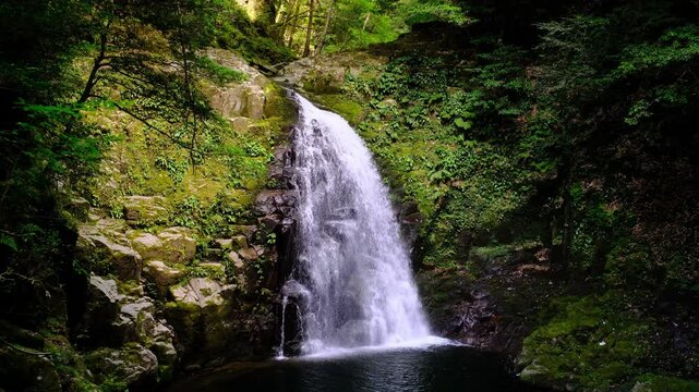 赤目四十八滝の不動滝　三重県