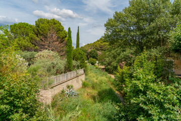 Vegetation around Beaumes-de-Venise
