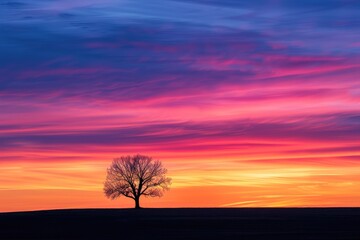 Obraz premium A stunning sunset the solitary tree against a colorful sky