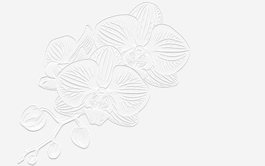 embossed image of orchids 