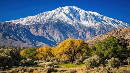 Majestic Snow-capped Mountain with Autumn Foliage in the Foreground