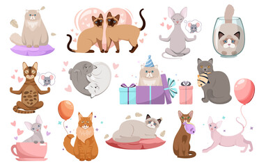 Naklejka premium A set of funny cats on a white background. Different breeds of cats in cartoon style. Vector illustration. 