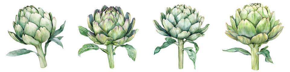 Fototapeta premium Artichokes with Lush Green Foliage Arranged in a Visually Appealing Culinary Display Showcasing the Ingredient s Natural Beauty and Nutritional Value